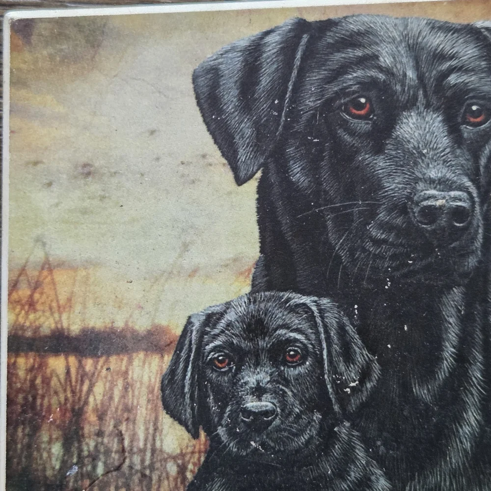 AbsorbaStone Set of 4 Black Labrador Retriever Dogs Absorbent Stone Coasters